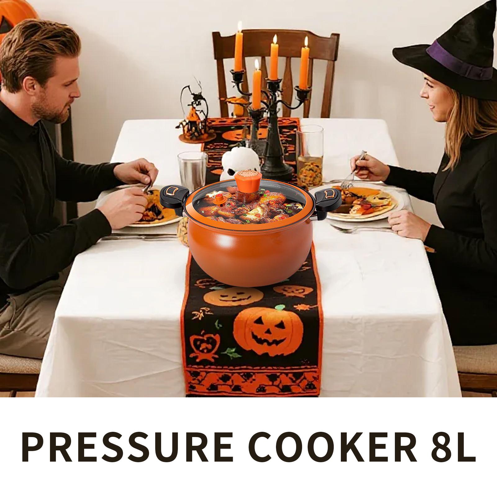 Small Pressure Cooker Non-Stic - Home Cooking Fast Foods recension och pris
