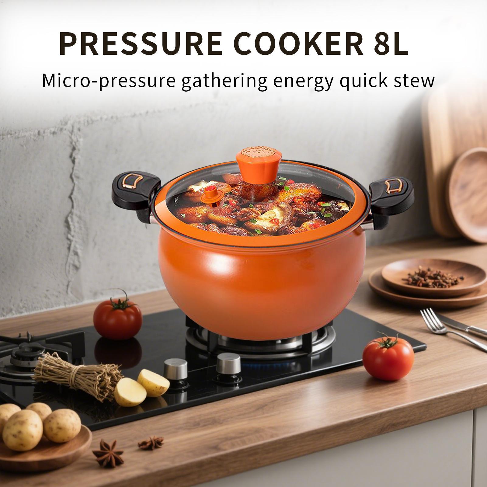 Small Pressure Cooker Non-Stic - Home Cooking Fast Foods recension och pris